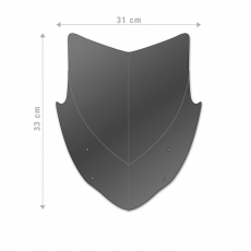 Barracuda MT-09 2017 Windschild