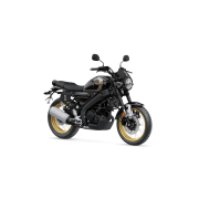 Yamaha XSR 125 Tracker-Paket BFG-FVPTR-00-00